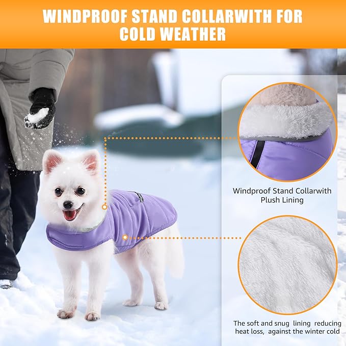 iBuddy Dog Winter Coats with Fleece Vest,Waterproof Warm Dog Snow Jacket Windproof, Reflective Adjustable Pet Dogs Cold Winter Coat for Small Dogs Girl Boy