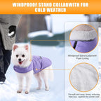 iBuddy Dog Winter Coats with Fleece Vest,Waterproof Warm Dog Snow Jacket Windproof, Reflective Adjustable Pet Dogs Cold Winter Coat for Small Dogs Girl Boy