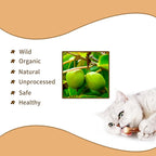 [ 15pcs Silvervine Sticks for Cats, Matatabi Cat Chew Sticks, Catnip Toys, Wooden Dental Sticks for Indoor Cats, Kitty, Kitten Teething Interactive Wand Toys