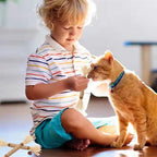 Cat Toys 3Pack Silvervine Chew Stick Kitten Treat Catnip Toy Kitty Natural Stuff Catnip for Cleaning Teeth Indoor Dental Snack Interactive