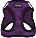 Best Pet Supplies Voyager Step-in Air Harness - All Weather Mesh, Reflective, No Pull Harness for Dogs, Cats - Secure with Hook & Loop Fastener, Buckle, Double D-Rings - Purple/Black Trim, XL