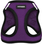 Best Pet Supplies Voyager Step-in Air Harness - All Weather Mesh, Reflective, No Pull Harness for Dogs, Cats - Secure with Hook & Loop Fastener, Buckle, Double D-Rings - Purple/Black Trim, XL
