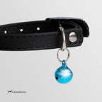 CollarDirect Leather Cat Collar, Kitten Collar with Removable Bell Black Blue Red Orange Lime Green (8-11 Inch, Black)