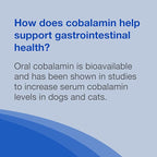 Nutramax Cobalequin B12 Supplement for Cats and Small Dogs, 45 Count (Pack of 1)