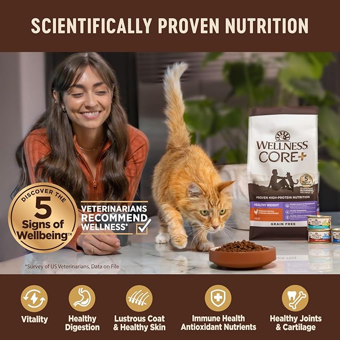 Wellness CORE+ Adult Dry Cat Food for Indoor Cats, Grain-Free, Natural, Salmon and Herring Meal (11 Pound Bag)