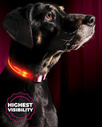 ILLUMISEEN LED Dog Collar USB Rechargeable - Bright & High Visibility Lighted Glow Collar for Pet Night Walking -Weatherproof, in 6 Colors & 6 Sizes (Pink Large)
