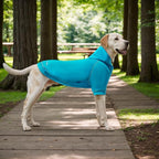 Basic Dog Hoodie Sweatshirts, Pet Clothes Hoodies Sweater with Hat and Leash Hole, Soft Cotton Outfit Coat for Small Medium Large Dogs, Royal Blue (Large)