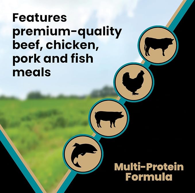VICTOR Super Premium Dog Food – Hi-Pro Plus Dry Kibble – High Protein Dog Food with 30% Protein – Beef, Chicken, Pork, Fish Meals, Gluten Free - for High Energy and Active Dogs & Puppies, 30lbs