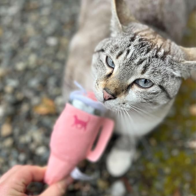 Kitty Cup Catnip Toy - Christmas & Birthday Cat Gift Toy with Catnip & Crinkle, Funny Stocking Stuffer for Girl Indoor Kitten (Pink Peach Dust)