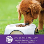 Wellness Complete Health Small Breed Dry Dog Food with Grains, Natural Ingredients, Made in USA with Real Turkey, For Dogs Up to 25 lbs, (Adult, Turkey & Oatmeal, 4-Pound Bag)