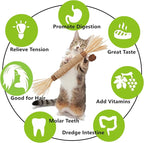 Cat Toys 3Pack Silvervine Chew Stick Kitten Treat Catnip Toy Kitty Natural Stuff Catnip for Cleaning Teeth Indoor Dental Snack Interactive