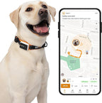 Pawfit 3 GPS Pet Tracker GPS Dog Tracker 4G Live Tracking, Smart Alerts, Fully Waterproof Activity Monitor for Pets, Unlimited Range, Remote Voice Recall, Fits All Collars, 30 Day Free Subscription