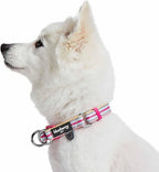 Blueberry Pet Safety Dog Collar with Dual D-Rings | 3M Reflective Multi-Colored Adjustable Collar in Pink and Pastel Blue | Soft Nylon Dog Collar for Active Small Dogs
