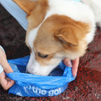 Dog Poop Bags with Handles 30 Rolls 360 Counts Big Sizes Leak Proof and Extra Thick Waste Bags Refill Rolls for Walking Small Medium Large Dogs Cats Litter Iris Scented