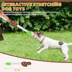 KOOLTAIL Duck Dog Toys, Tough Plush Dog Chew & Squeaky Toys with Crinkle Paper, Interactive Training & Tug of War Puppy Teething Toy for Indoor Outdoor Play, Soft Pet Toy for Small Medium Large Dogs