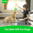 Durable Dog Chew Toy – Tough Rubber and Rope Tug Toy with Squeaker, Interactive Training and Fetch Toy for Aggressive Chewers, Medium and Large Dogs, Heavy Duty Tug-of-War (Round Ball)