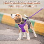 Dog Harness Step in Dog Vest Harness, Reflective Adjustable Puppy No Pull Harness Breathable Soft for Small and Medium Dogs Cats, Purple, XXS