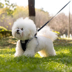 Dog Harness and Leash Set, No Pull Pet Harness for Small Dogs Easy Walking,Soft Breathable Small Dog Harness,Adjustable Reflective Step in Vest Harness for Puppy,Kitten, Cats