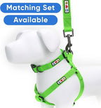 Pawtitas Personalized Dog Leash Embroidered Customize with Your Pet Name & Phone Number Puppy 6 ft Long Small Green Custom Engraved Name, ✅ Solid, Customized XS/S (Pack of 1)