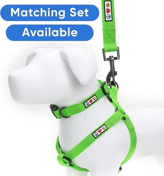Pawtitas Personalized Dog Leash Embroidered Customize with Your Pet Name & Phone Number Puppy 6 ft Long Small Green Custom Engraved Name, ✅ Solid, Customized XS/S (Pack of 1)