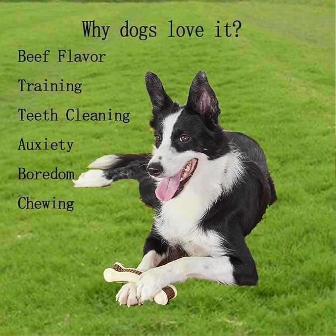 Dog Bones Chew Toys for Aggressive Chewers, 3 Pack Real Beef Flavor,Indestructible Dog Teething Chew Toys for Large/Medium/Small Puppies Breed,Tough Pet Toy with Nylon