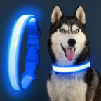YFbrite Light up Dog Collar, USB Rechargeable LED Puppy Collar Super Bright Adjustable Glowing Dog Lights for Night Walking (Design-2- Blue, Small)