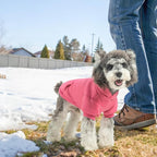 SCENEREAL Dog Hoodie Sweaters for Small Medium Large Size Dogs, Fleece Dog Sweatshirt with Hat and Pocket,Soft Cold Winter All Weather Dog Clothes for S to XL Sized Dogs, Pink XL
