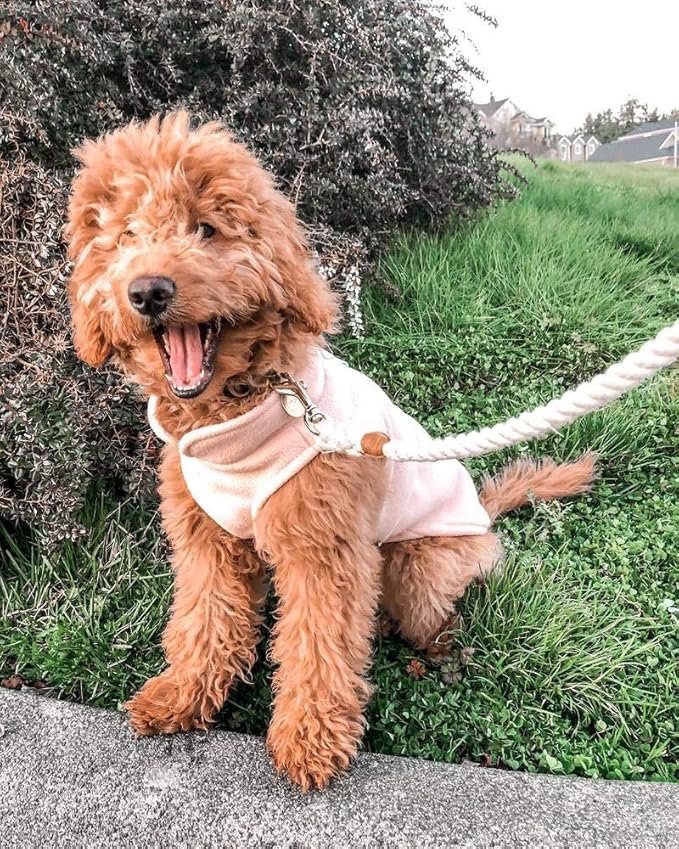 Gooby Fleece Vest Dog Sweater - Turquoise, X-Small - Warm Pullover Fleece Dog Jacket with O-Ring Leash for Small to Medium Dogs