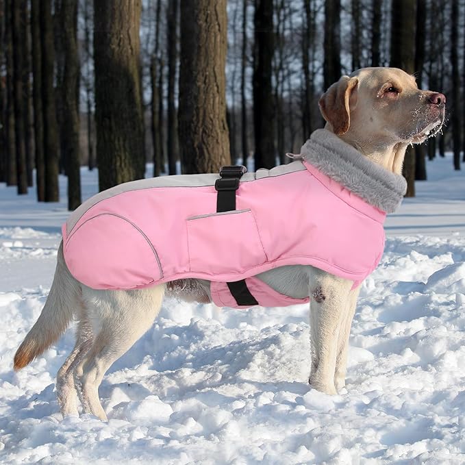 Queenmore Winter Dog Jackets, Thick Dog Coats for Small Pets Winter, Warm Reflective Coat, Thick Waterproof Puppy Coats, Pink, S