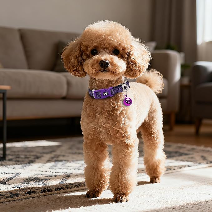 Small Dog Collar with Bell - Cute Reflective Puppy Collar Gift for Girl, Adjustable Nylon Collar for Chihuahua Pomeranian Nighttime Safety (Purple S)