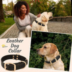 ADITYNA Heavy Duty Leather Dog Collar for Medium Dogs - Soft and Strong Leather Collar for Walking, and Training (Black - Gold Colored Buckle, Medium: Fit 13" - 20" Neck)