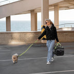 | TSA Airline Approved |Soft Sided Pet Carrier | Cat Carrier | Dog Carrier| Pets Up to 15 lbs | Leash & Luggage Strap | Black with Green Handle
