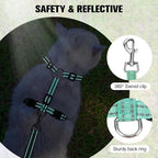 BEAUTYZOO Cat Harness and Leash Set for Walking Escape Proof, Neck Release Adjustable Harnesses for Kitten Puppy Small Medium Large Cats, Soft Cute Easy Control Small Cat Harness for Cats Boy Girls