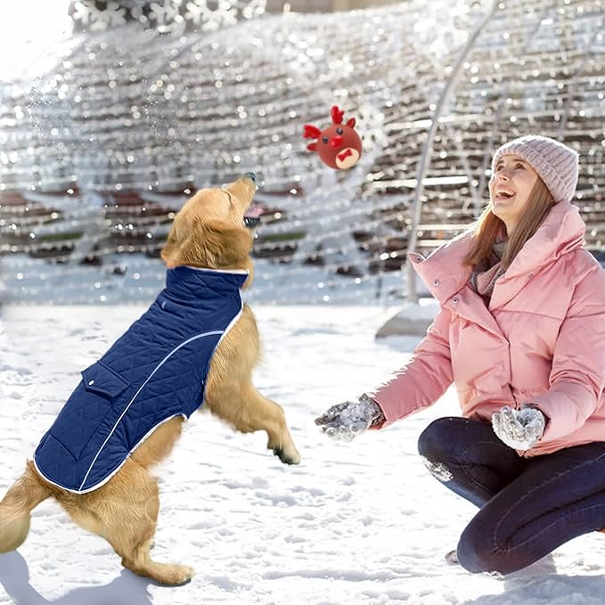 Malier Dog Winter Coat, Windproof Dog Cold Weather Coats with Real Pocket, Winter Extra Warm Pet Coat Fleece Jacket Reflective Clothes for Small Medium Large Dogs and Puppy (Blue, Medium)