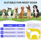 Jewyow Light Up Dog Collar, Adjustable USB Rechargeable Glow in Dark Dog Collar ，Waterproof Dog Collars for Medium Dogs (Blue, Medium)