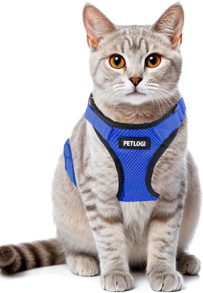 Cat Harness Escape Proof with Leash for Walking, Travel Vest Soft Chest Support, Adjustable Size, Escape Proof Soft Adjustable Vest Harnesses, Breathable, Kittens, Small Dogs (美/背縄/藍1/XS)