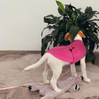 Queenmore Medium Dog Sweater, Soft Fleece Vest Pullover Dog Jacket with Leash Hole, Warm Winter Dog Clothes Cold Weather Doggy Dachshund Sweaters for Medium Dogs Cats Boy or Girl (Pink,M)