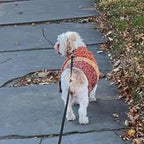 KYEESE Dog Sweater Color Block Dog Sweaters for Medium Dogs Boy with Fuzzy Thread Knitted Turtleneck Medium Pet Sweater Knitwear Pet Sweater Fall Winter Dogs Clothes, Brown, XL