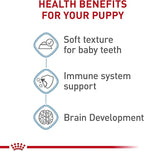 Royal Canin Size Health Nutrition Medium Puppy Thin Slices in Gravy Dog Food, 13 oz (Pack of 12)