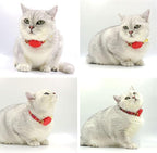 Personalized Cat Collar with Bells,Velvet Customized Small Cat Collar with Name Tag,Pet Collar with Name Phone Number Engraved ID Tags for Boy and Girl Kitten Cats (Khaki Christmas cat Collar)