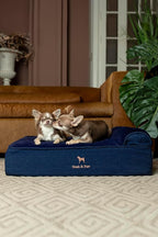 NOAH & PAW Dog Bed, 28x23x7.5 Inch, Orthopedic Dog Beds for Medium Size Pets, Eggshell Memory Foam Infused with Cooling Gel, Waterproof, Machine Washable, Includes Inner Cover (Denim Collection)