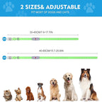 Lighted Dog Collar, Rechargeable Light Up Pet Collar, Waterproof LED Dog Collar Glow in The Dark, Make Pet Visible and Safety for Night Walking for Small Medium Large Dogs (Rainbow)