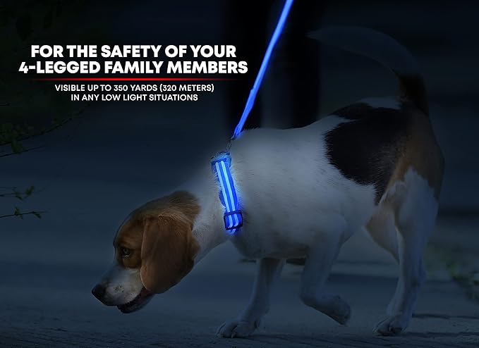Illumiseen LED Dog Collar USB Rechargeable - Bright & High Visibility Lighted Glow Collar for Pet Night Walking - Weatherproof, in 6 Colors & 6 Sizes (Blue XX-Small)