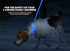 ILLUMISEEN LED Dog Collar USB Rechargeable - Bright & High Visibility Lighted Glow Collar for Pet Night Walking - Weatherproof, in 6 Colors & 6 Sizes (Blue Small)