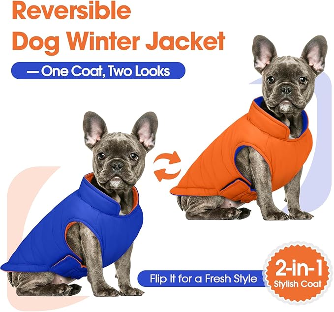 QBLEEV Reversible Dog Coat for Medium Dogs, Waterproof Windproof Winter Jacket Keeps Dogs Warm in Snow, Adjustable Hook & Loop Lightweight Dog Puffer Vest, Orange, L – Fits French Bulldog