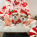 CuteBone Small Dogs Christmas Outfit Soft Puppy Onesies Pjs Dog Pajamas Pet Coat Cat Apparel Comfy Doggie Jumpsuit Bodysuit for All Seasons P135S