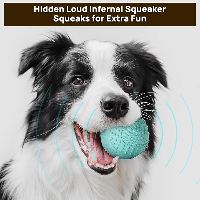 iPettie Summer Floating Dog Ball, Squeaky Water Fetch Toy, Waterproof Rubber Chew Ball, BPA Free, Colorful, 4 Sets, 2.5"