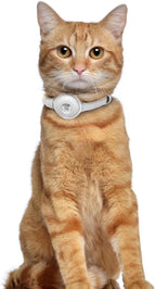 OOPSDOGGY Leather AirTag Cat Collar with Bell - Non Breakaway Kitten Collar with Apple Air Tag Holder - Lightweight GPS Pet Collars for Girl Boy Cats, Small Dogs, Puppies (White)