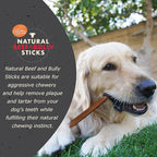 Canine Naturals | Natural Beef & Bully Sticks | 48 Count | Long-Lasting, Odor Free, High Protein Chews Made with 100% Real Bully | Bulk Carton Medium Sticks