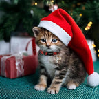 ARING PET 2 Pack Christmas Cat Collars-Cute Cat Collar Breakaway with Bell&Pendant, Adjustable Christmas Plaid Kitten Collars with Safety Buckle for Girl and Boy Cats